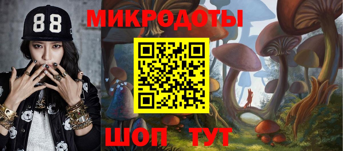 купить   Вход с VPN  Волгодонск  Псилоцибиновые грибы GOLDEN TEACHER 